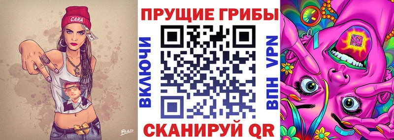 Галлюциногенные грибы Psilocybe  Курск 