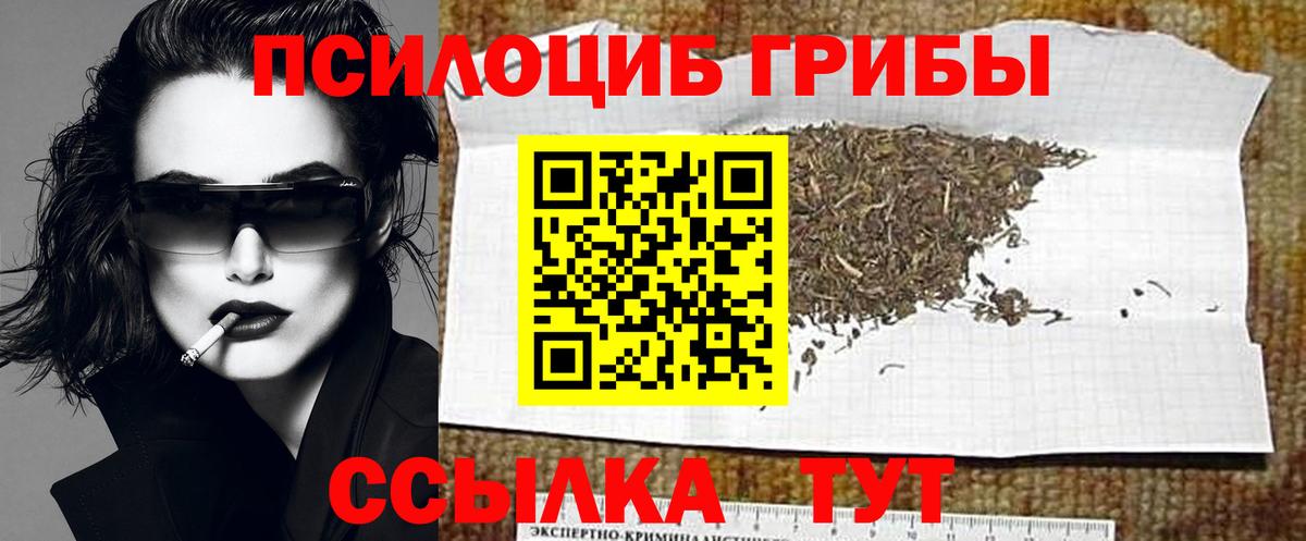Галлюциногенные грибы ЛСД  Галлюциногенные грибы GOLDEN TEACHER  Курск  Вход с VPN 